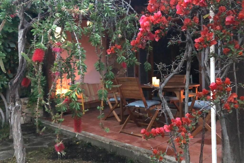 Villetta La Cinta 산테오도로 외부 사진